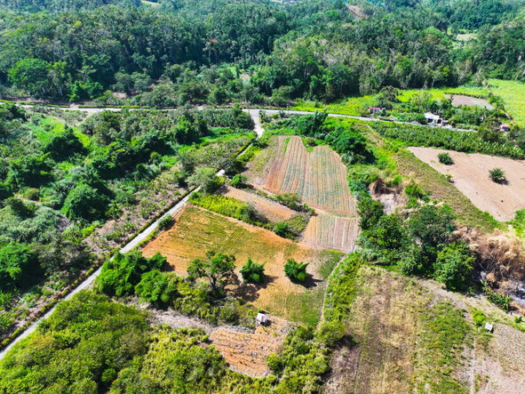 Fourth image of Lot 58 Cave Valley, St. Ann in Cave Valley, St. Ann, Jamaica - property is For Sale