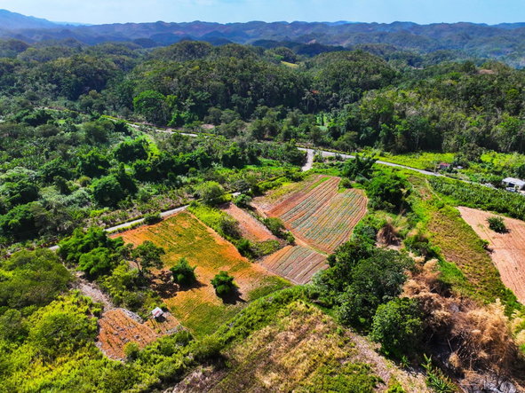 Seventh image of Lot 58 Cave Valley, St. Ann in Cave Valley, St. Ann, Jamaica - property is For Sale