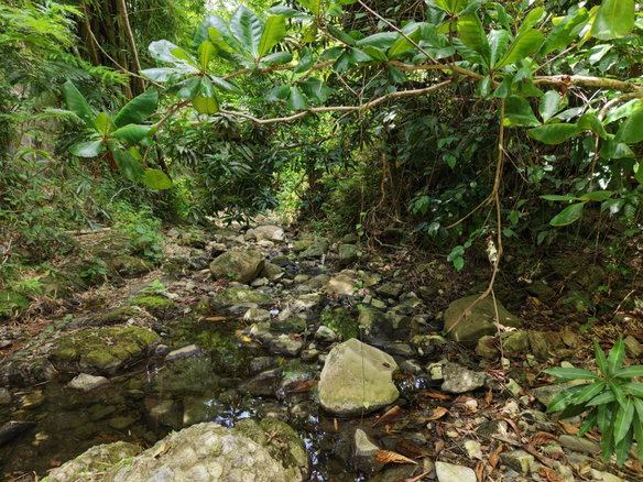 First image of Blenheim, Lucea in Blenheim, Hanover, Jamaica - property is For Sale