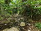 First image of Blenheim, Lucea in Blenheim, Hanover, Jamaica - property is For Sale