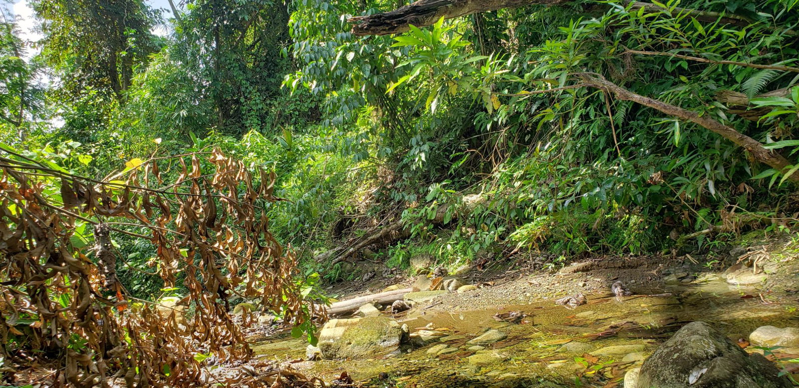 Tenth image of Blenheim, Lucea in Blenheim, Hanover, Jamaica - property is For Sale
