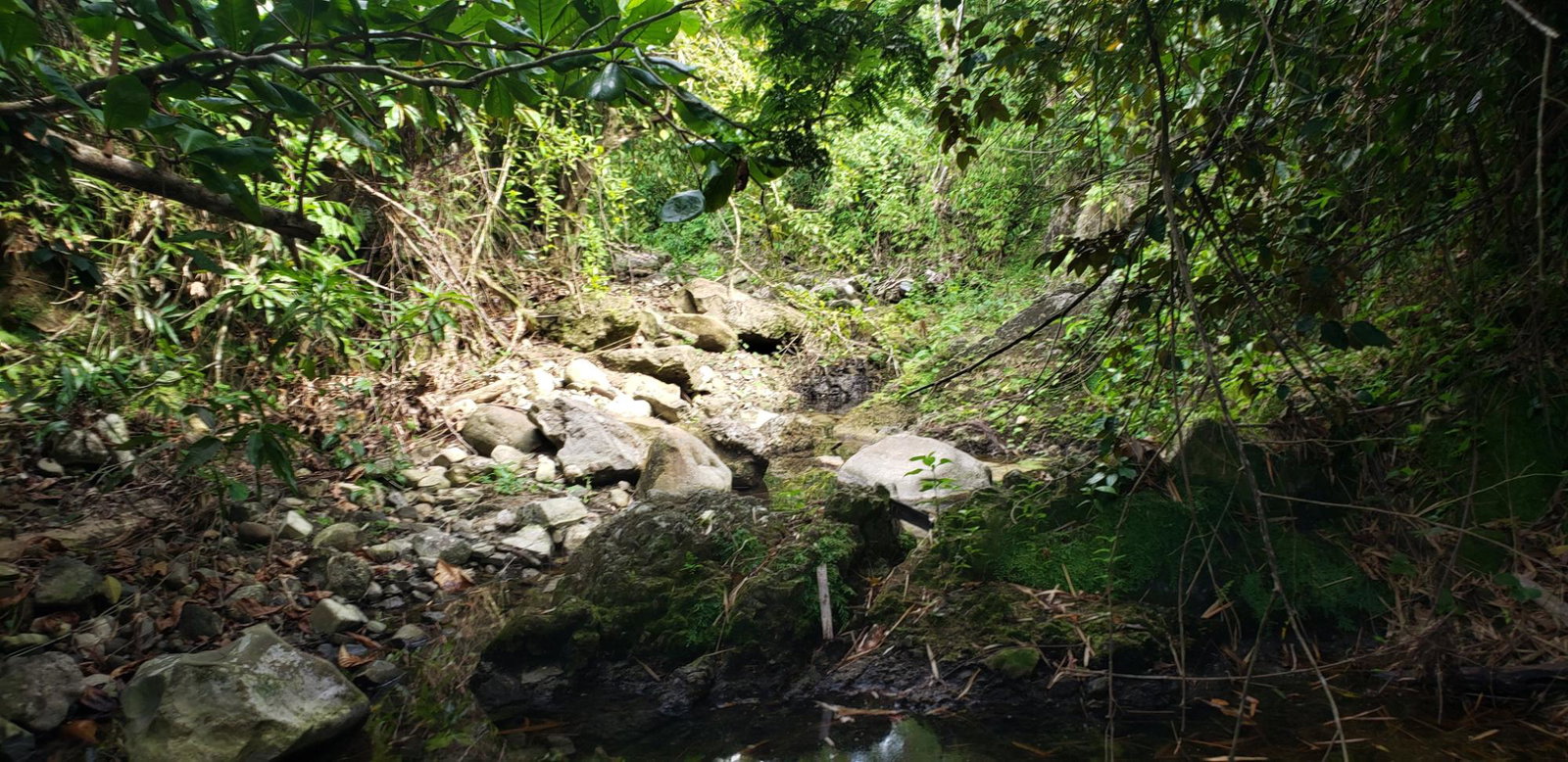 Eleventh image of Blenheim, Lucea in Blenheim, Hanover, Jamaica - property is For Sale
