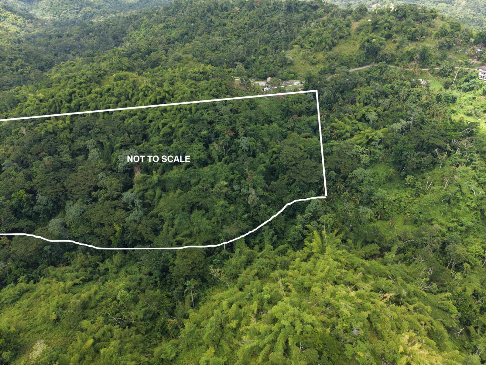 Fourth image of Blenheim, Lucea in Blenheim, Hanover, Jamaica - property is For Sale