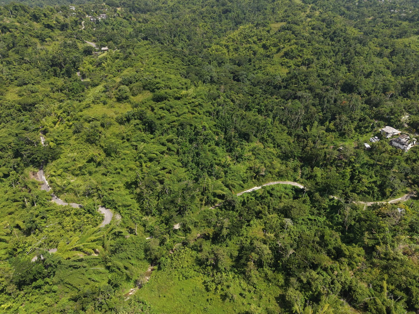 Sixth image of Blenheim, Lucea in Blenheim, Hanover, Jamaica - property is For Sale