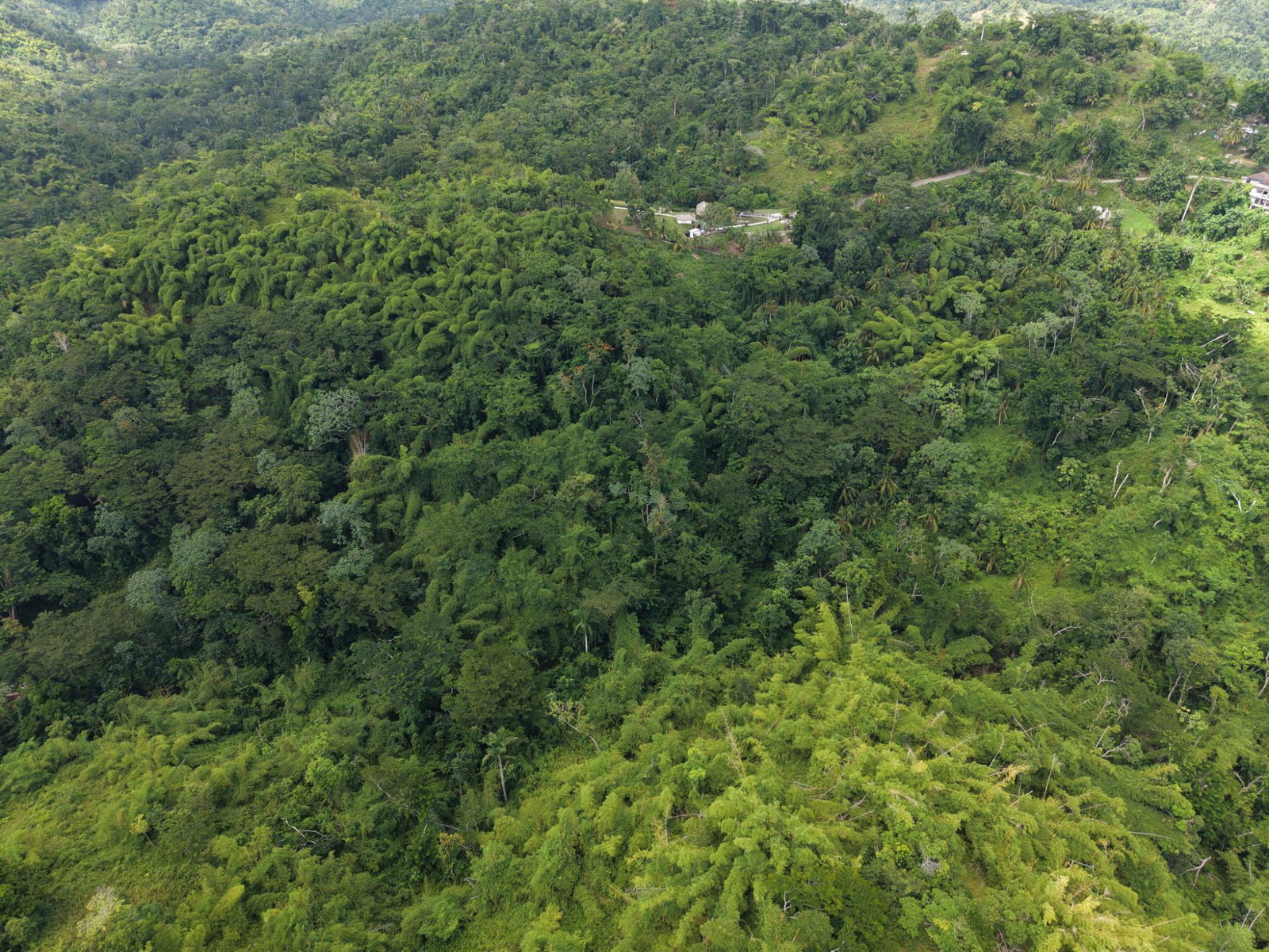 Seventh image of Blenheim, Lucea in Blenheim, Hanover, Jamaica - property is For Sale