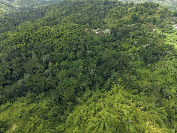 Seventh image of Blenheim, Lucea in Blenheim, Hanover, Jamaica - property is For Sale