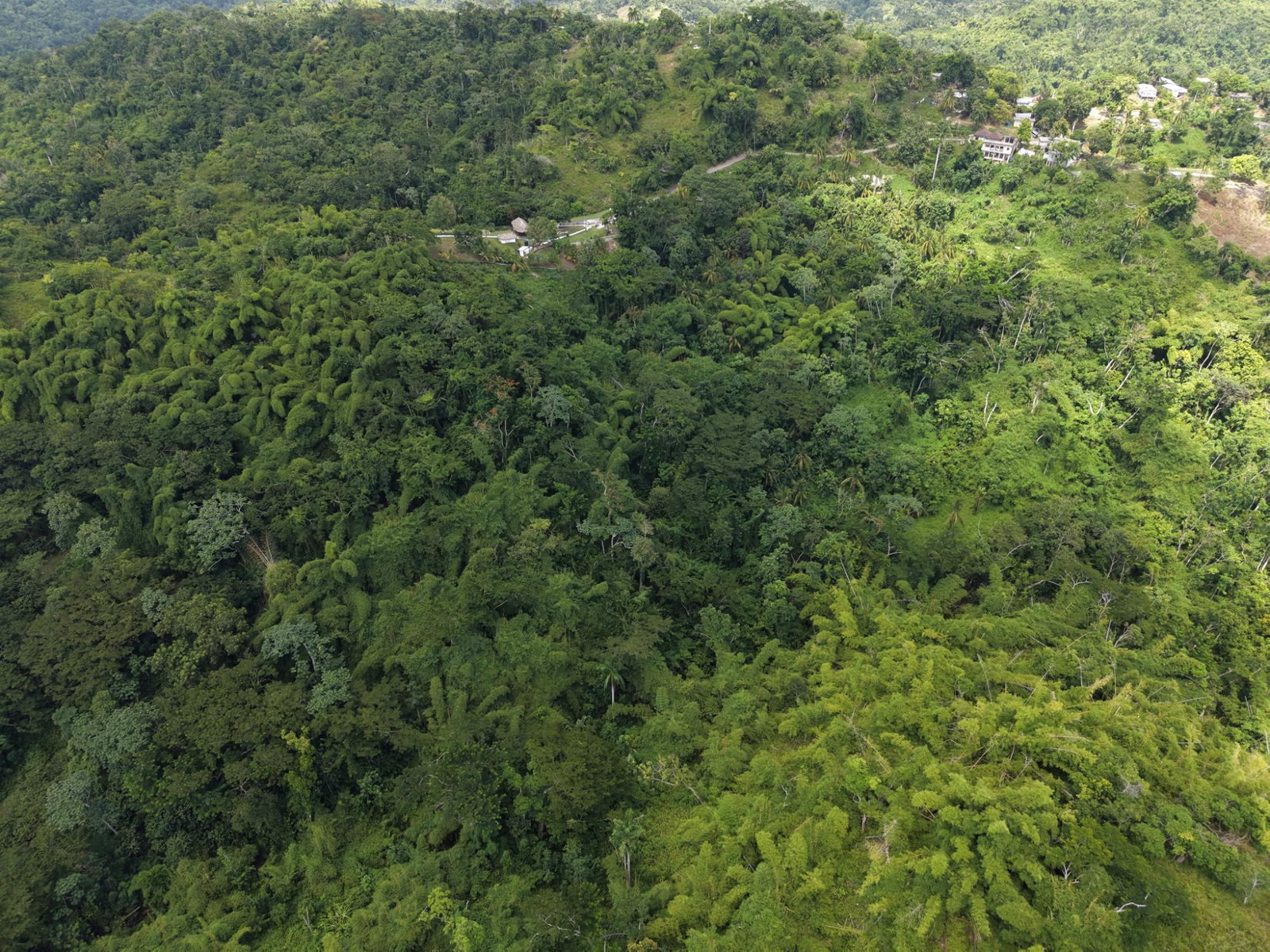 Eighth image of Blenheim, Lucea in Blenheim, Hanover, Jamaica - property is For Sale