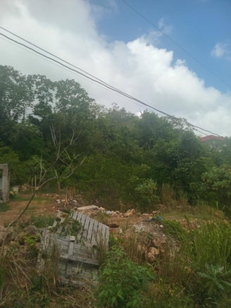 First image of 14 Circinus Circle in Kingston 19, St. Andrew, Jamaica - property is For Sale