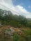 First image of 14 Circinus Circle in Kingston 19, St. Andrew, Jamaica - property is For Sale
