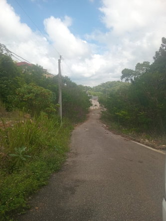 Third image of 14 Circinus Circle in Kingston 19, St. Andrew, Jamaica - property is For Sale