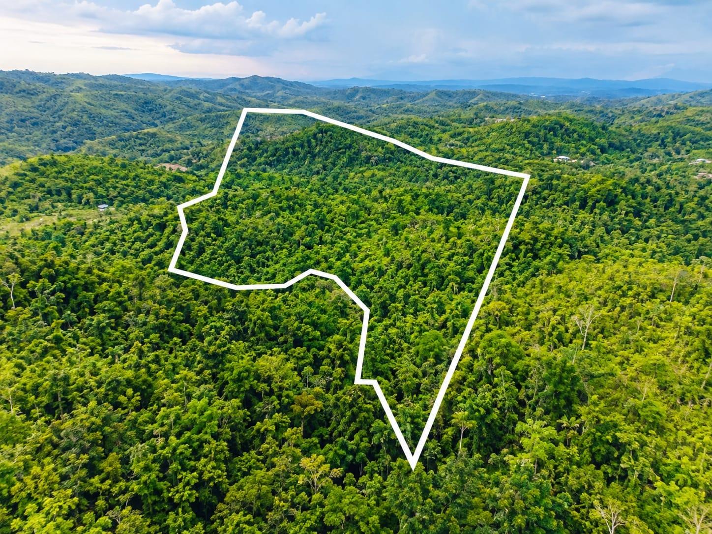 Second image of 109 New Milns Hanover in Ken Jones, Hanover, Jamaica - property is For Sale