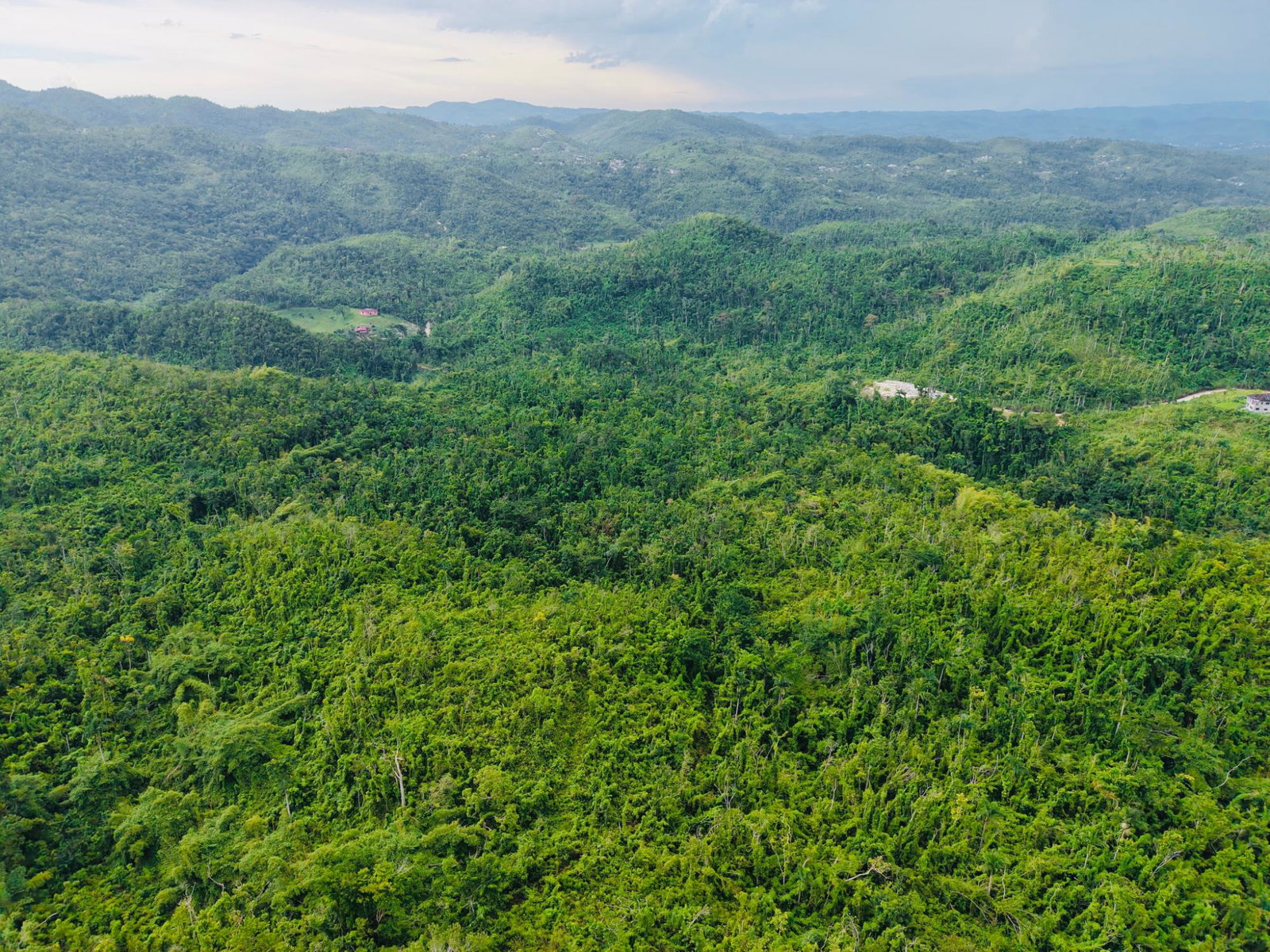 Third image of 109 New Milns Hanover in Ken Jones, Hanover, Jamaica - property is For Sale