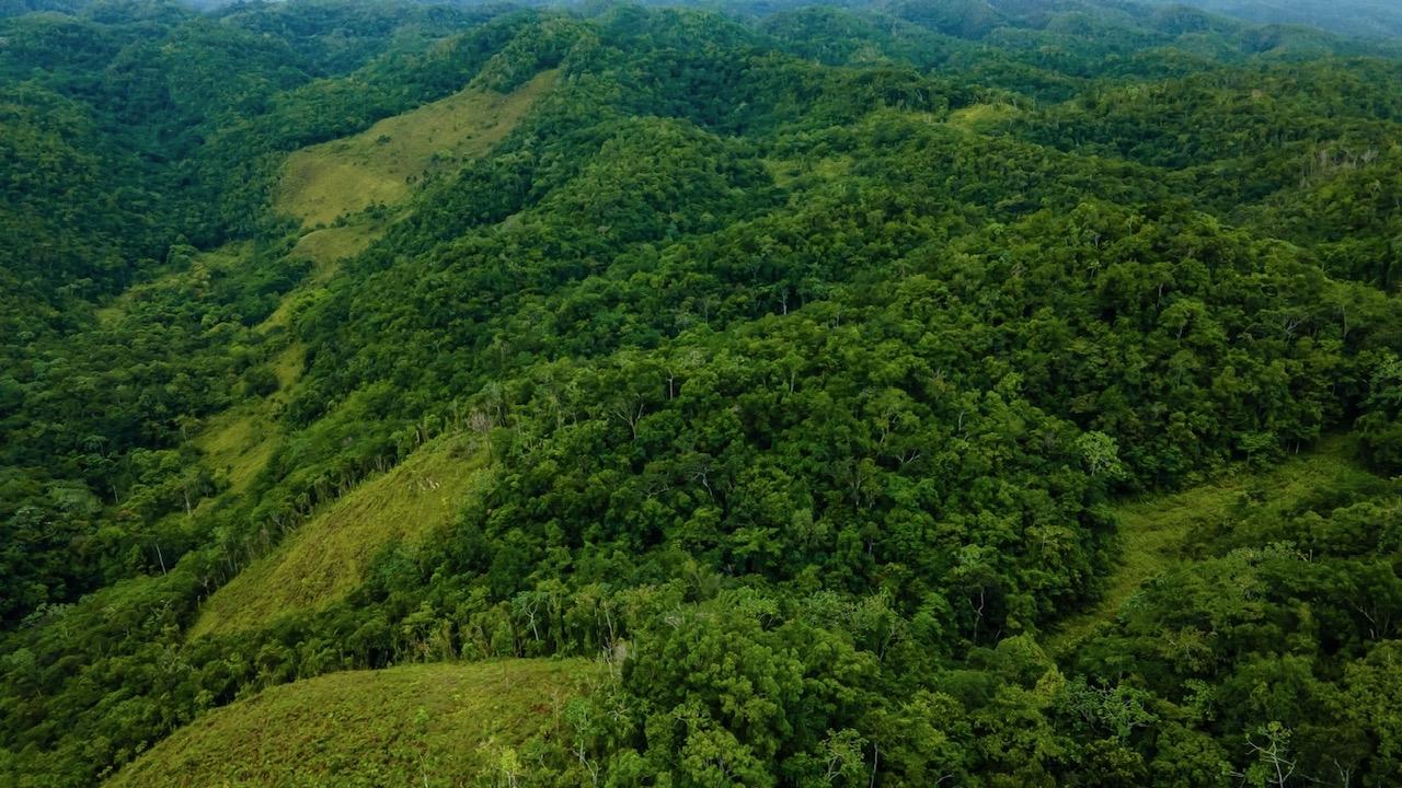 Twelfth image of Elgin Ulster Spring Trela in Ulster Spring, Trelawny, Jamaica - property is For Sale