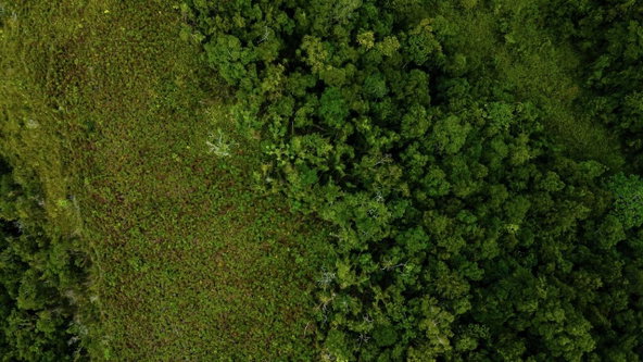 Third image of Elgin Ulster Spring Trela in Ulster Spring, Trelawny, Jamaica - property is For Sale