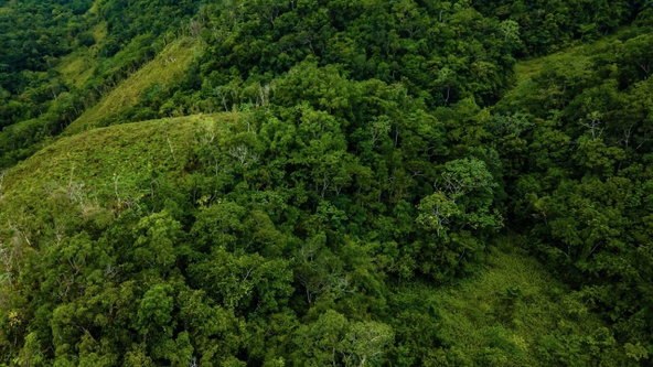 Sixth image of Elgin Ulster Spring Trela in Ulster Spring, Trelawny, Jamaica - property is For Sale
