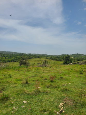 Fifteenth image of Lot 27 Content, Adelphi in Adelphi, St. James, Jamaica - property is For Sale