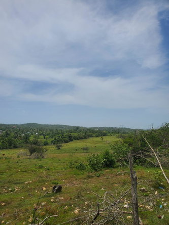 Sixteenth image of Lot 27 Content, Adelphi in Adelphi, St. James, Jamaica - property is For Sale