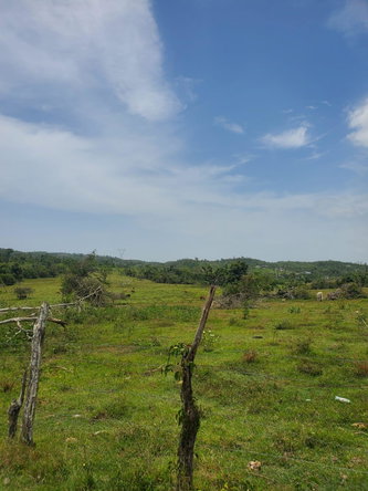 Eighteenth image of Lot 27 Content, Adelphi in Adelphi, St. James, Jamaica - property is For Sale