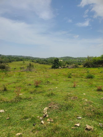 Nineteenth image of Lot 27 Content, Adelphi in Adelphi, St. James, Jamaica - property is For Sale