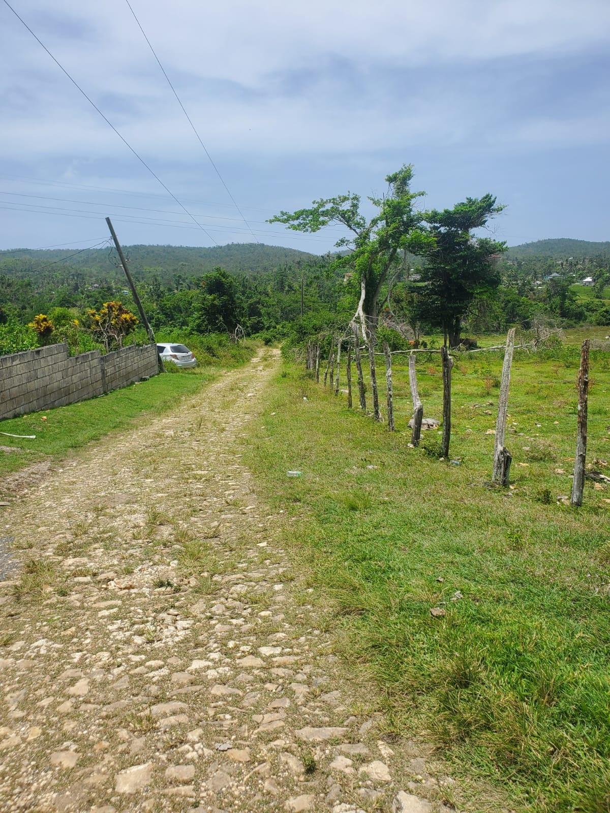 Twentieth image of Lot 27 Content, Adelphi in Adelphi, St. James, Jamaica - property is For Sale