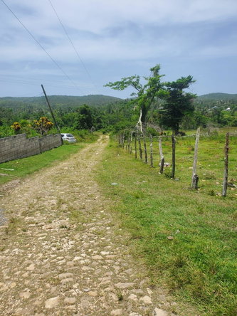 Twentieth image of Lot 27 Content, Adelphi in Adelphi, St. James, Jamaica - property is For Sale