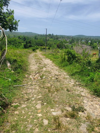 Twenty-First image of Lot 27 Content, Adelphi in Adelphi, St. James, Jamaica - property is For Sale