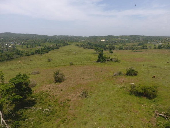 Fifth image of Lot 27 Content, Adelphi in Adelphi, St. James, Jamaica - property is For Sale
