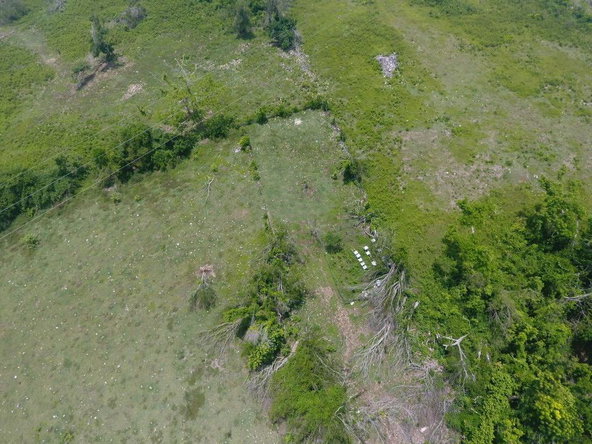 Seventh image of Lot 27 Content, Adelphi in Adelphi, St. James, Jamaica - property is For Sale