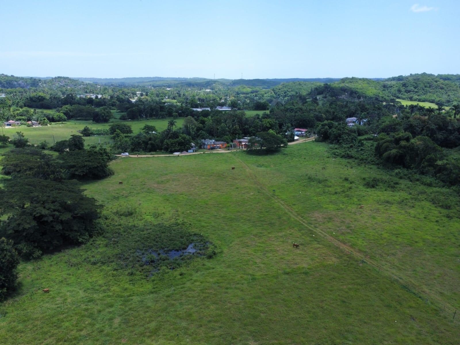 Fourth image of 117 Hyde & Gibraltar, Clarks in Clarks Town, Trelawny, Jamaica - property is For Sale