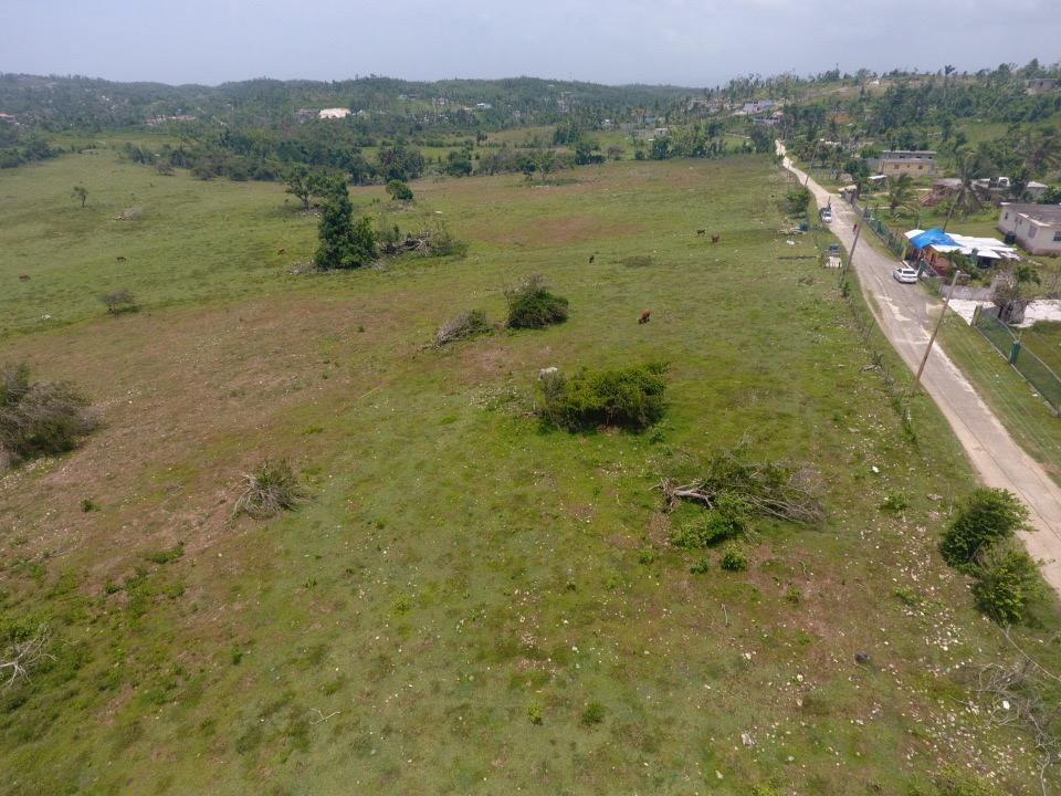 Tenth image of Lot 28 Content, Adelphi in Adelphi, St. James, Jamaica - property is For Sale