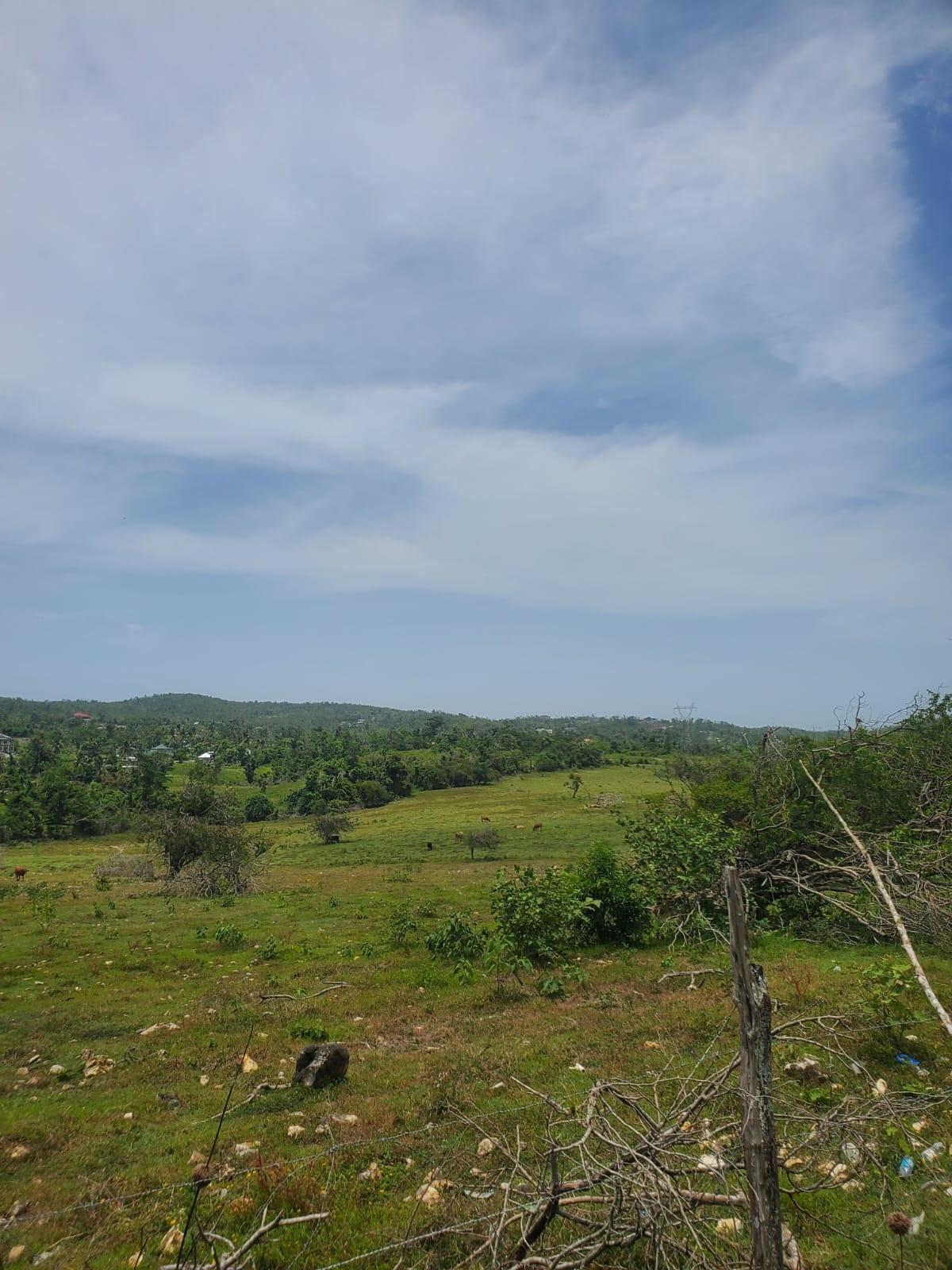 Sixteenth image of Lot 28 Content, Adelphi in Adelphi, St. James, Jamaica - property is For Sale