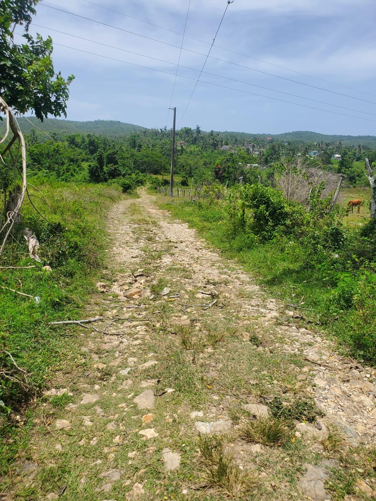 Twenty-First image of Lot 28 Content, Adelphi in Adelphi, St. James, Jamaica - property is For Sale