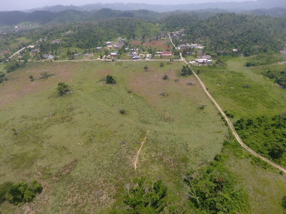 Fourth image of Lot 28 Content, Adelphi in Adelphi, St. James, Jamaica - property is For Sale