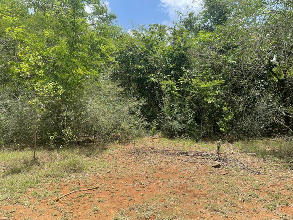 First image of Colbeck, St. Catherine in Old Harbour, St. Catherine, Jamaica - property is For Sale
