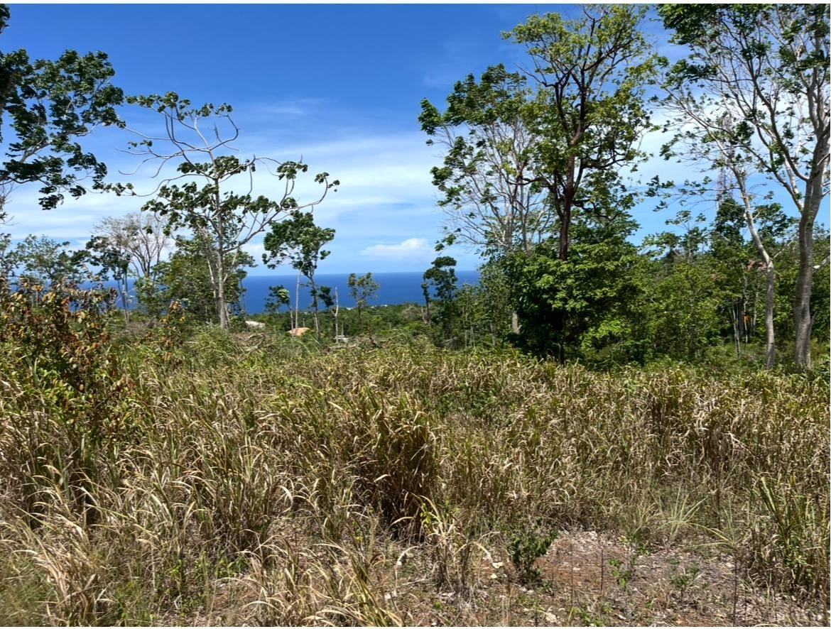 First image of 1 & 2 Edge Hill in Mango Valley, St. Mary, Jamaica - property is For Sale