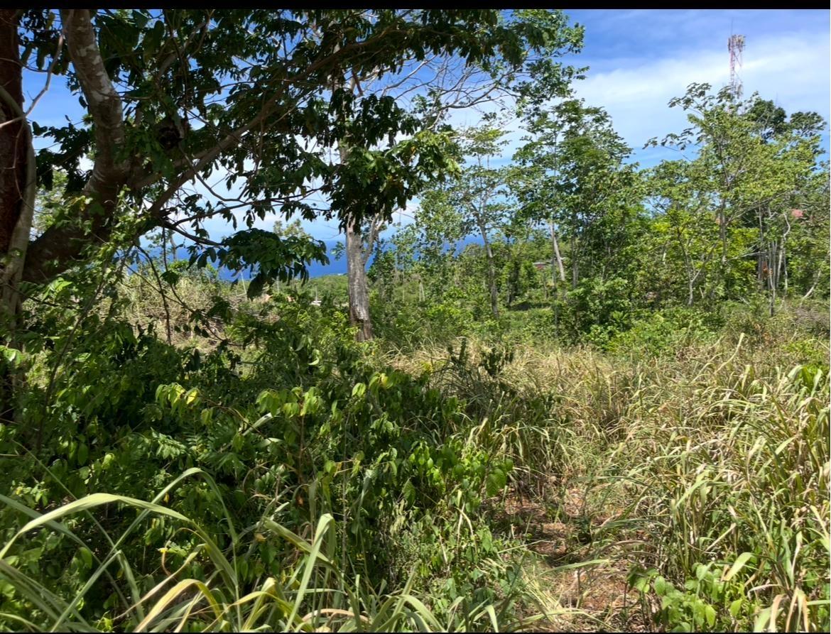 Third image of 1 & 2 Edge Hill in Mango Valley, St. Mary, Jamaica - property is For Sale