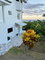 First image of 4 Mountain Drive in Spring Valley, St. Mary, Jamaica - property is For Rent