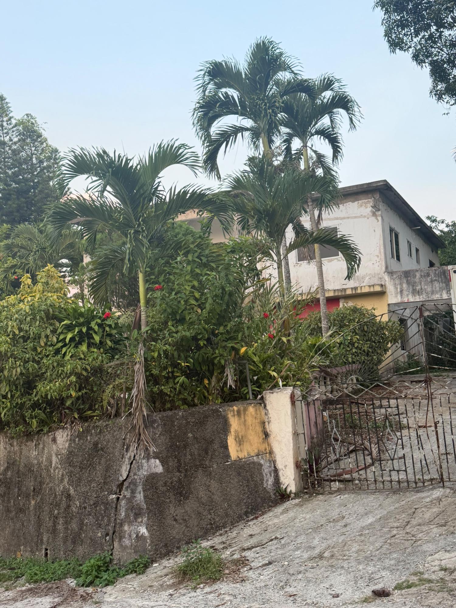 Fourth image of Golden Spring in Golden Spring P.O., St. Andrew, Jamaica - property is For Sale