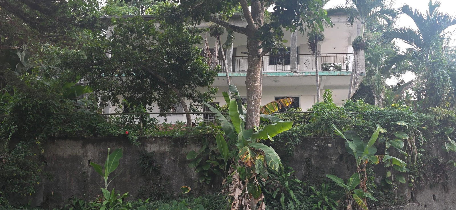 Seventh image of Golden Spring in Golden Spring P.O., St. Andrew, Jamaica - property is For Sale