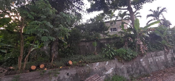 Ninth image of Golden Spring in Golden Spring P.O., St. Andrew, Jamaica - property is For Sale