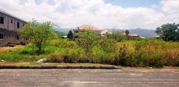Ninth image of 40 Sugar Cane Street, Planta in Priory, St. Ann, Jamaica - property is For Sale