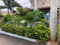 First image of Robin Way in Hellshire Park, St. Catherine, Jamaica - property is For Sale