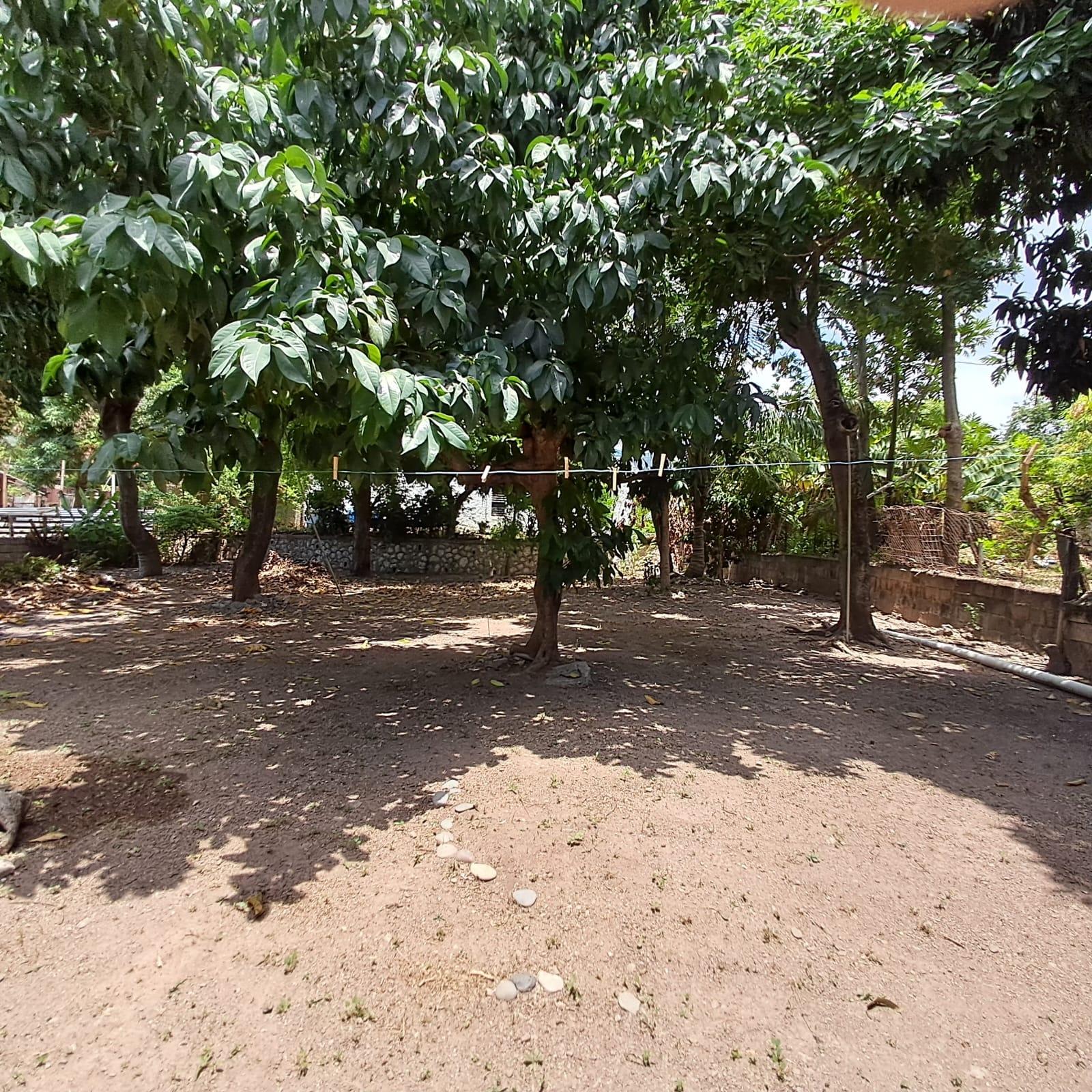 Twenty-Fourth image of 12 Sunrise Crescent in Kingston 19, St. Andrew, Jamaica - property is For Sale