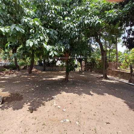 Twenty-Fourth image of 12 Sunrise Crescent in Kingston 19, St. Andrew, Jamaica - property is For Sale