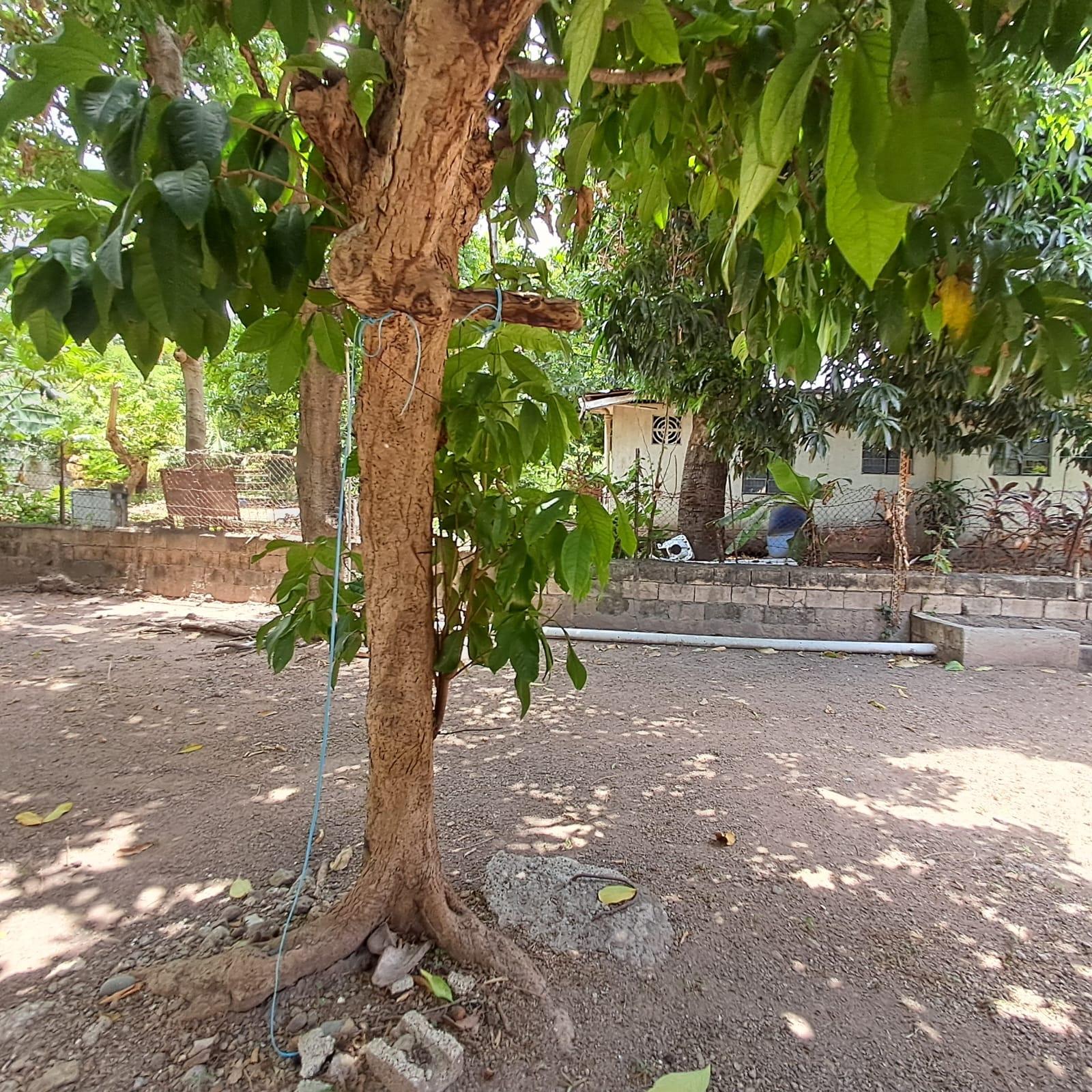 Twenty-Sixth image of 12 Sunrise Crescent in Kingston 19, St. Andrew, Jamaica - property is For Sale