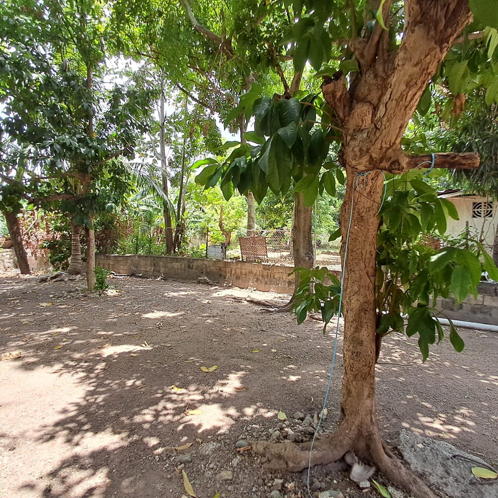 Twenty-Seventh image of 12 Sunrise Crescent in Kingston 19, St. Andrew, Jamaica - property is For Sale