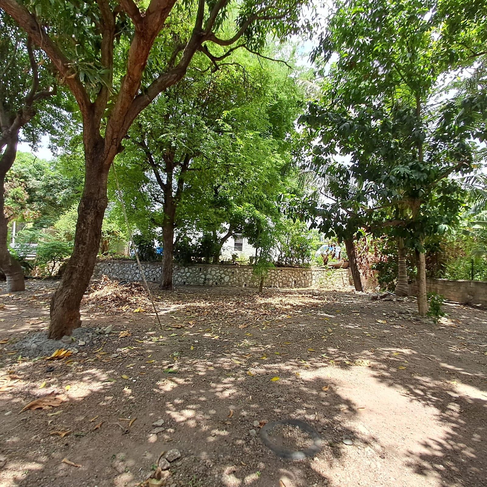 Twenty-Ninth image of 12 Sunrise Crescent in Kingston 19, St. Andrew, Jamaica - property is For Sale