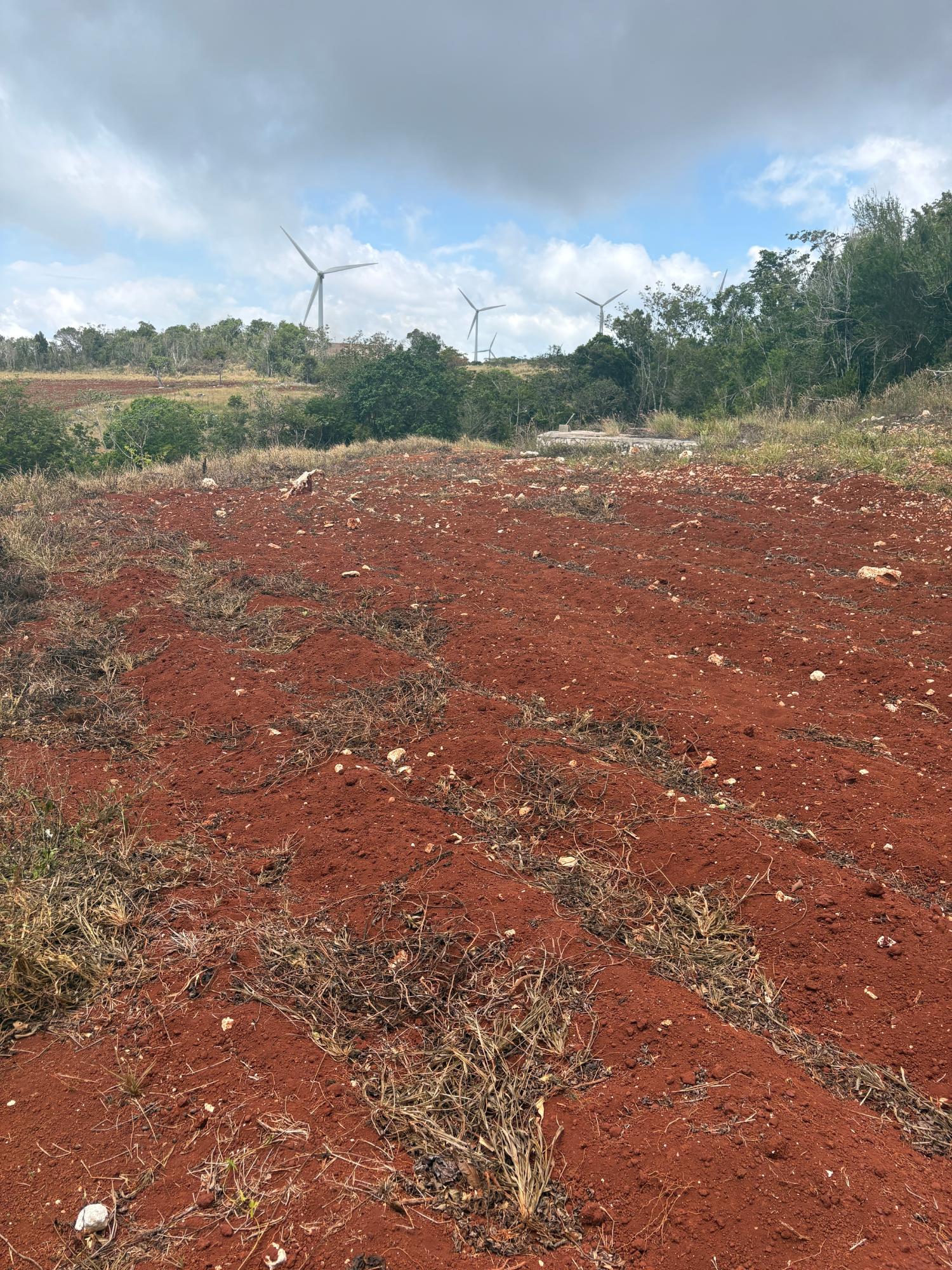 Fifth image of Rosehill, Lottery Distric in Plowden Hill, Manchester, Jamaica - property is For Sale