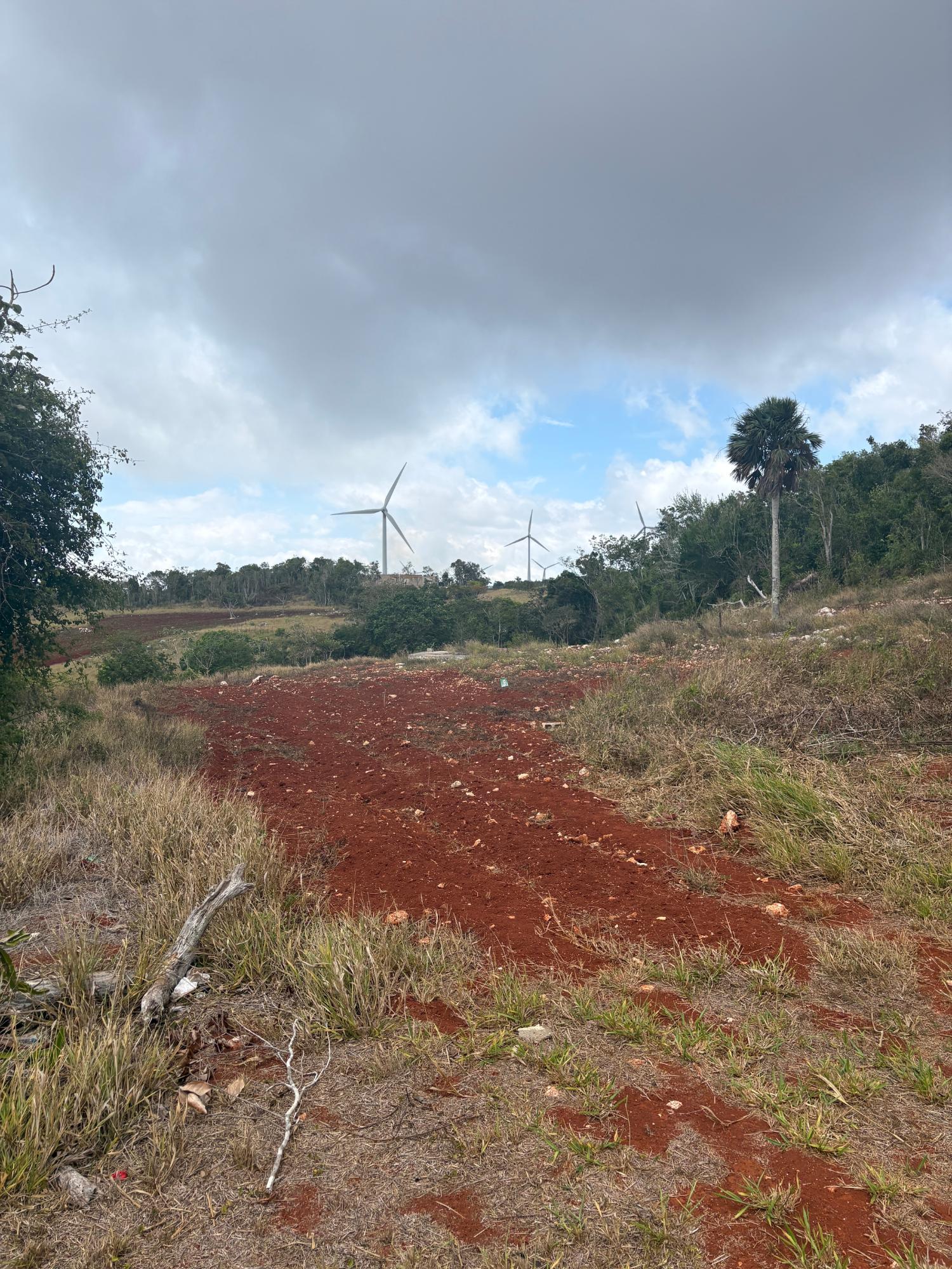 Sixth image of Rosehill, Lottery Distric in Plowden Hill, Manchester, Jamaica - property is For Sale