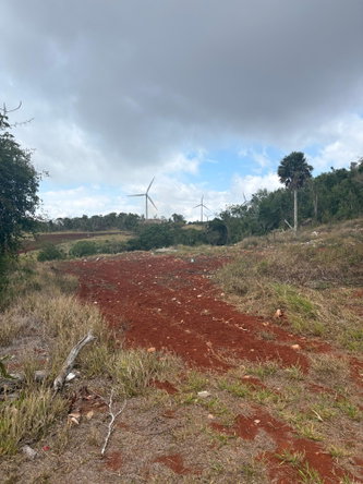 Sixth image of Rosehill, Lottery Distric in Plowden Hill, Manchester, Jamaica - property is For Sale